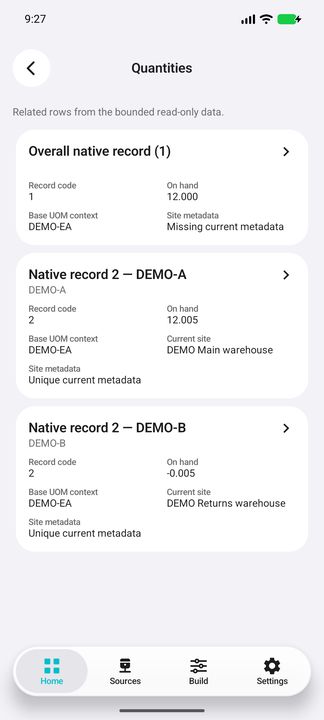 Original native quantity records: overall 12.000, location-coded 12.005 and -0.005; never add these records together. — Native Cifru DEMO, entirely fictional; not a real ERP test.