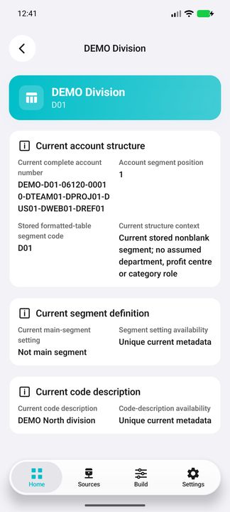 Full representative segment Details, including its complete parent account number and current code description. — Native Cifru DEMO, entirely fictional; not a real ERP test.