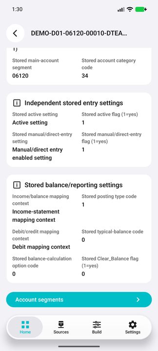 Current account Details with stored reporting context and the Account segments sub-button. — Native Cifru DEMO, entirely fictional; not a real ERP test.