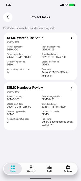 Project tasks loaded on demand: complete task cards with parent company, responsible code, dates and status context. — Native Cifru DEMO, entirely fictional; not a real ERP test.