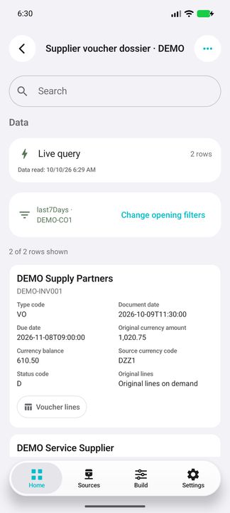 Period/company opening selection and complete supplier-voucher card with Voucher lines action — Native Cifru DEMO, entirely fictional; not a real ERP test.