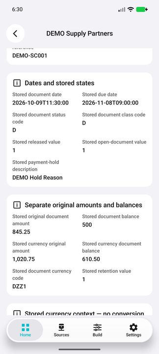Original dates/states, payment-hold description and separate original/currency amounts and balances — Native Cifru DEMO, entirely fictional; not a real ERP test.