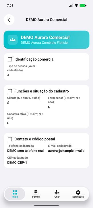 Nove informações do mesmo parceiro DEMO: identificação, funções, situação cadastral, contato e código postal. — Cifru nativo; dados fictícios, não teste em ERP real.