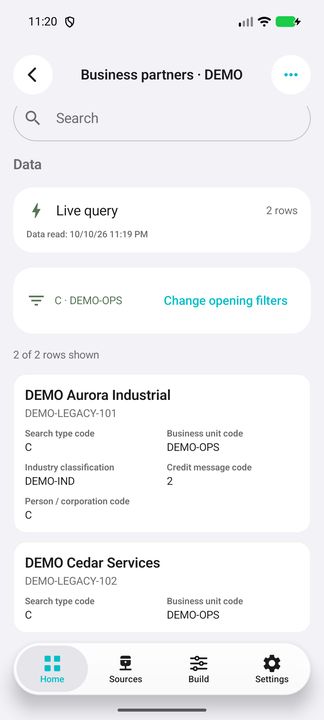 Complete invented partner card: name, legacy reference, search type, business unit, industry, credit-message and person/corporation codes. — Native Cifru; invented DEMO data, not a real ERP connection.