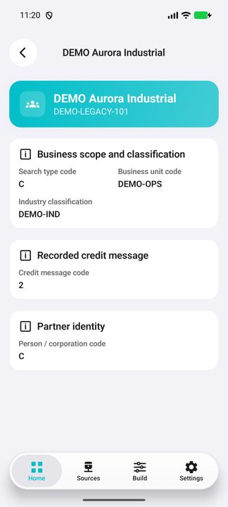 Seven same-row Details values for the same DEMO partner, grouped by identity, business classification and recorded credit message. — Native Cifru; invented DEMO data, not a real ERP connection.
