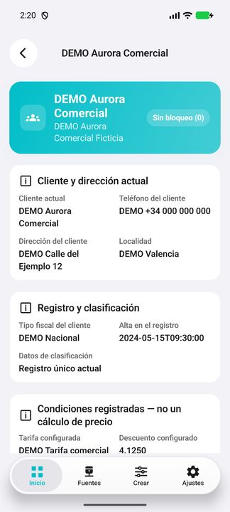 Ficha del cliente DEMO; continuación complementaria del mismo registro. — Cifru nativo; datos ficticios, no prueba en ERP real.