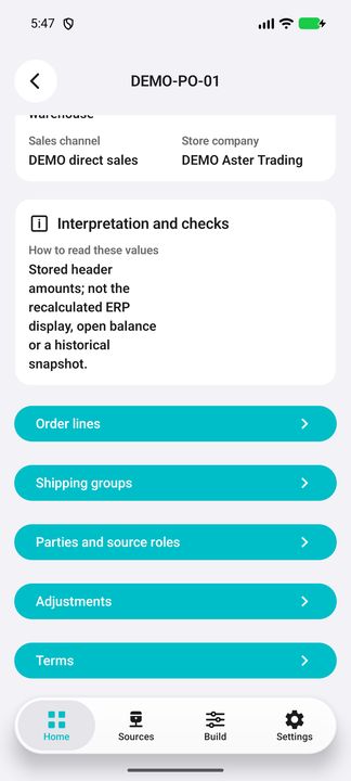 Order Details and all five buttons: lines, shipping groups, parties/roles, adjustments and terms. — Native Cifru; wholly fictional DEMO, not a real ERP test.