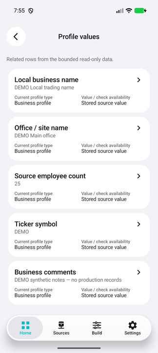 Business-only Profile values: pertinent stored attributes; unrelated person fields are not projected. — Native Cifru; wholly fictional DEMO, not a real ERP test.