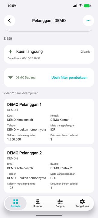 Kartu pelanggan lengkap: mata uang dan saldo negatif tetap terpisah — Cifru native; DEMO, seluruh data fiktif. Bukan uji koneksi ke ERP nyata.