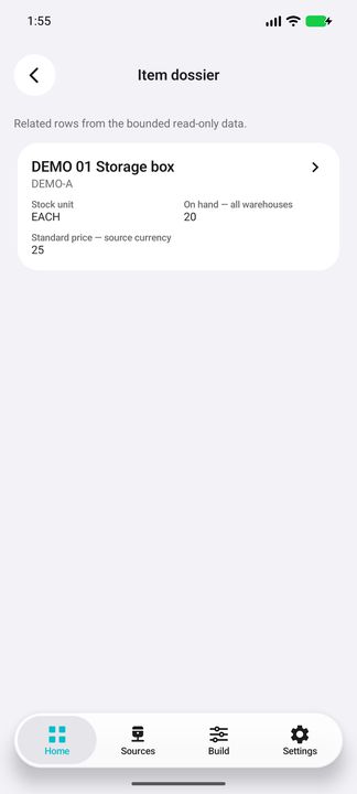 Item dossier opened from the selected stock row — Native Cifru DEMO with fictional data; not a real ERP connection test.