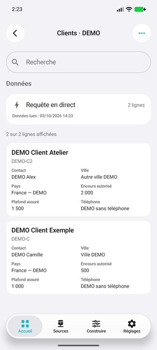 Bouton Clients : contacts, coordonnées et plafond d’encours autorisé, pas le solde dû — Cifru natif ; données DEMO fictives, sans connexion ERP réelle.