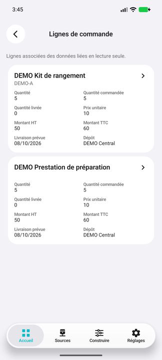 Lignes de commande : article et prestation, quantités commandées/livrées, prix et montants natifs — Cifru natif ; données DEMO fictives, sans connexion ERP réelle.
