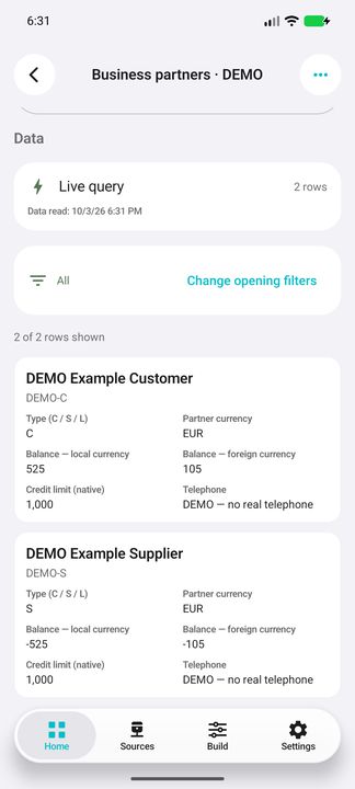 Customers and vendors: signed local and foreign balances, currency setting and native credit limit — Native Cifru; fictional DEMO data, no real SAP connection.
