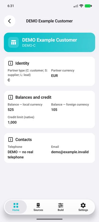 Business partner Details, C/S/L legend, balances and fictional contact information — Native Cifru; fictional DEMO data, no real SAP connection.