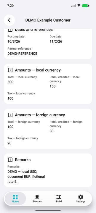 Invoice Details continued: paid amounts, tax, foreign currency and fictional-rate explanation — Native Cifru; fictional DEMO data, no real SAP connection.