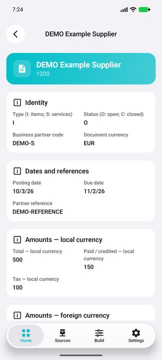 Supplier invoice Details: identity, native-code legends, dates and local-currency amounts — Native Cifru; fictional DEMO data, no real SAP connection.