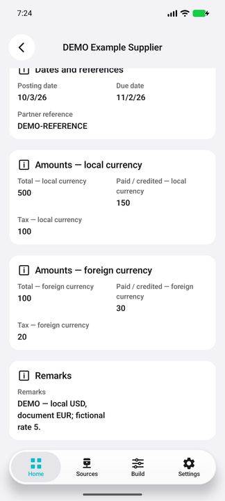 Supplier invoice Details continued: paid amounts, tax, foreign currency and fictional-rate explanation — Native Cifru; fictional DEMO data, no real SAP connection.