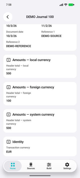 Journal Details continued: separately labelled local, foreign and system totals and transaction currency — Native Cifru; fictional DEMO data, no real SAP connection.