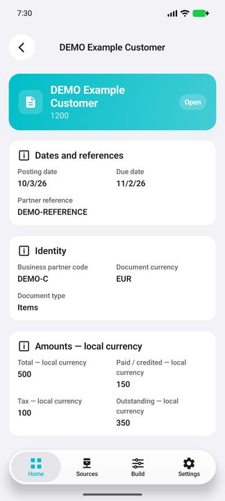 Invoice Details: dates, references, document type and local amounts — Native Cifru; fictional DEMO data, no real SAP connection.