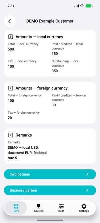 Invoice Details continued: foreign amounts, DEMO exchange-rate note and subbuttons — Native Cifru; fictional DEMO data, no real SAP connection.