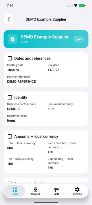 Invoice Details: dates, references, document type and local amounts — Native Cifru; fictional DEMO data, no real SAP connection.