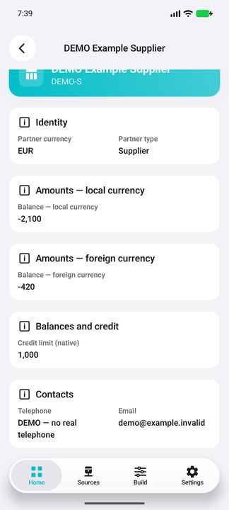 Partner Details: type, currency, separately labelled balances and fictional contacts — Native Cifru; fictional DEMO data, no real SAP connection.