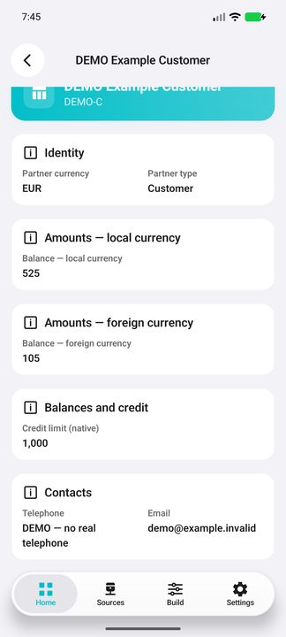 Partner Details: type, currency, separately labelled balances and fictional contacts — Native Cifru; fictional DEMO data, no real SAP connection.
