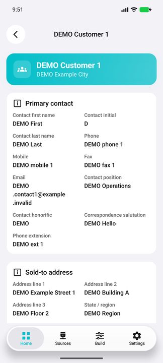 Customer Details: complete primary contact and sold-to address, first part — Native Cifru; DEMO, entirely fictional data. Not a real ERP connection test.