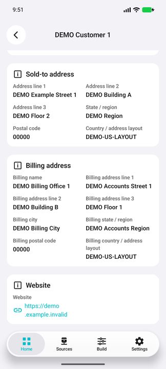 Customer Details continued: address-layout value, billing address and website — Native Cifru; DEMO, entirely fictional data. Not a real ERP connection test.