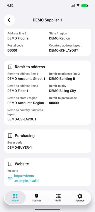 Supplier Details continued: remit-to address, buyer code and website — Native Cifru; DEMO, entirely fictional data. Not a real ERP connection test.