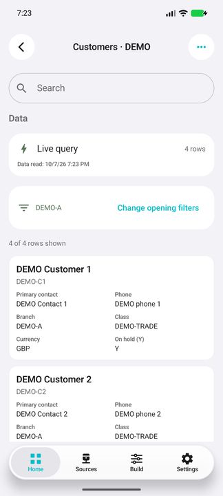 Branch selection and complete customer card: contact, branch, class, currency and stored hold flag — Native Cifru; DEMO, entirely fictional data. Not a real ERP connection test.