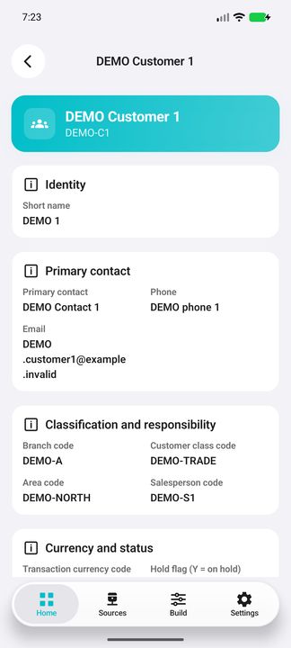 Customer Details: business identity, contact, classification and assigned salesperson code — Native Cifru; DEMO, entirely fictional data. Not a real ERP connection test.