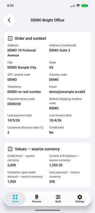 Customer Details continued: credit limit, current receivables balance, open-order amount and last payment — Native Cifru DEMO, entirely fictional data; not a real ERP connection test.