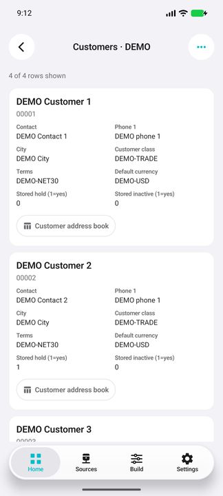 Complete customer cards: contact, class, payment/default currency codes, distinct stored hold/inactive flags and address-book action — Native Cifru DEMO, entirely fictional data; not a real ERP connection test.