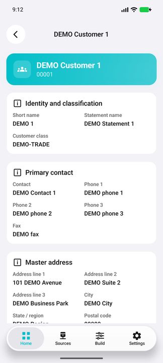 Customer dossier: business identity, statement/short names and primary contact with all three phones and fax — Native Cifru DEMO, entirely fictional data; not a real ERP connection test.