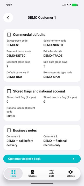 Stored flags, national-account parent code, business notes and customer address-book button; not computed credit eligibility — Native Cifru DEMO, entirely fictional data; not a real ERP connection test.