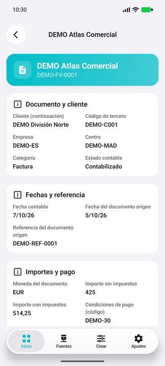Ficha de factura: cliente completo, empresa/centro, categoría, fechas y referencia de origen — Cifru nativo DEMO, datos totalmente ficticios; no es una prueba de conexión ERP real.