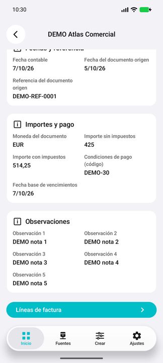 Ficha de factura: importes, condiciones de pago, fecha base de vencimientos y las cinco observaciones — Cifru nativo DEMO, datos totalmente ficticios; no es una prueba de conexión ERP real.
