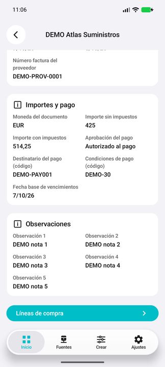 Ficha de factura, continuación: las cinco observaciones y botón para consultar sus líneas — Cifru nativo DEMO, datos totalmente ficticios; no es una prueba de conexión ERP real.