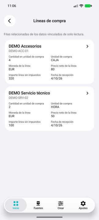 Líneas de la factura seleccionada: productos/servicios con cantidades, unidades, moneda, precio e importe — Cifru nativo DEMO, datos totalmente ficticios; no es una prueba de conexión ERP real.