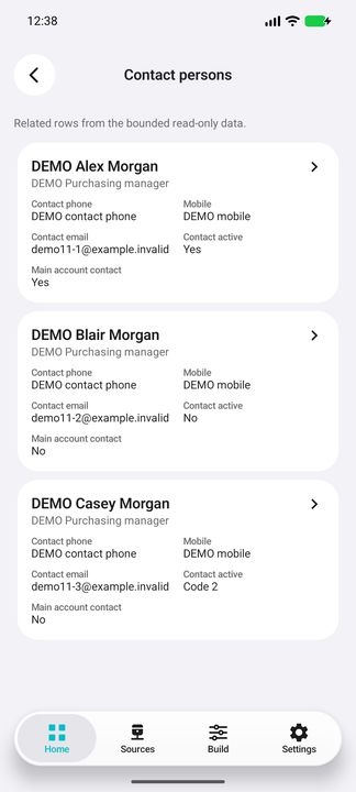 Contact persons: actual related list for the selected account, including complete representative contact card. — Native Cifru DEMO, wholly fictional data; not a real Exact Globe connection test.