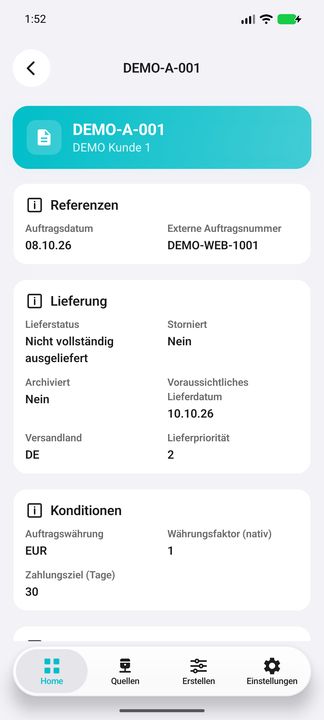 Auftragsdetails: Referenzen, Lieferung und native Konditionen — Native Cifru-Ansicht; DEMO, vollständig erfundene Daten. Kein Test auf echtem ERP.