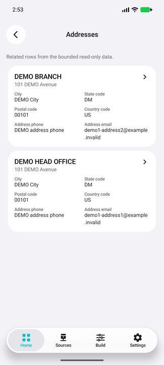 Addresses: actual related list and complete representative HEAD OFFICE address card; repeated references remain distinct per firm. — Native Cifru DEMO, wholly fictional data; not a real Vantagepoint connection test.