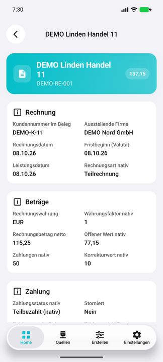 Rechnungsdetails: Belegkunde, Firma, Rechnung/Valuta/Leistung, Rechnungsart sowie native Netto-, Zahlungs- und Korrekturwerte; Brutto im Header. — Native Cifru-Ansicht; DEMO, vollständig erfundene Daten. Kein Test auf echtem ERP.