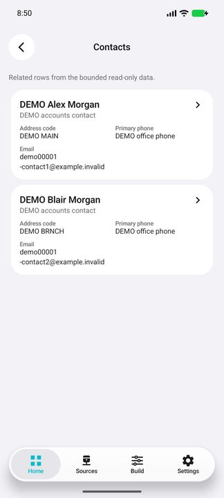 Actual two-contact contents, preserving each address code and email. — Native Cifru DEMO; fictional data, not a real Costpoint test.