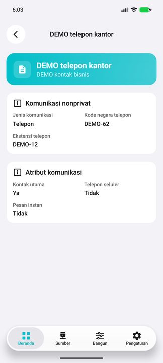 Detil kontak lengkap: kode negara telepon, ekstensi, kontak utama, telepon seluler dan pesan instan; hanya komunikasi nonprivat. — Cifru native, DEMO fiktif; bukan uji pada ERP nyata.